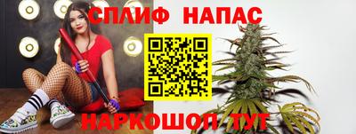 apvp Вязьма