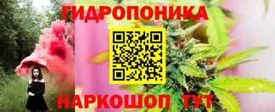 apvp Вязьма