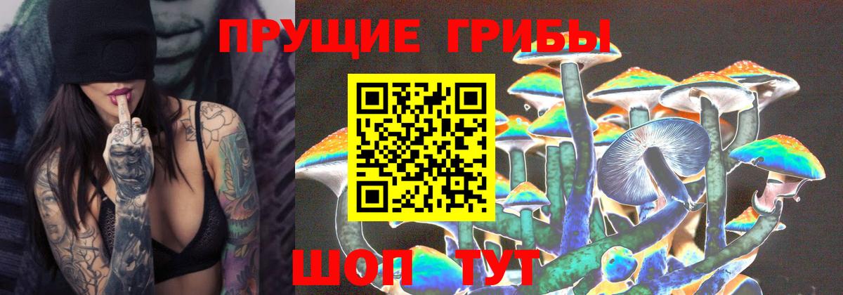 Галлюциногенные грибы Cubensis  Галлюциногенные грибы GOLDEN TEACHER  Калач-на-Дону  Вход с VPN 